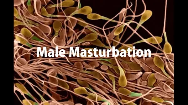 XXX Male Masturbation क्लिप क्लिप्स