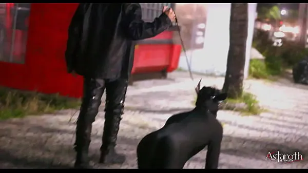 XXX Master takes his pet dog for a walk in the City. P1 کلپس کلپس